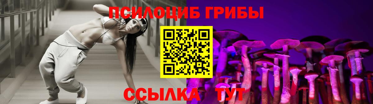 Псилоцибиновые грибы Psilocybe  Вход с VPN  Тихвин 